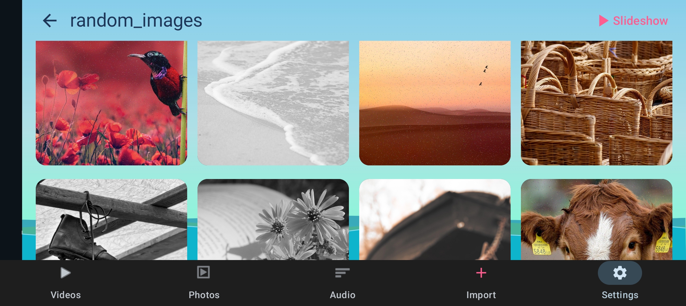 Byways Media Hub Photos tab, showing an album grid with slideshow option